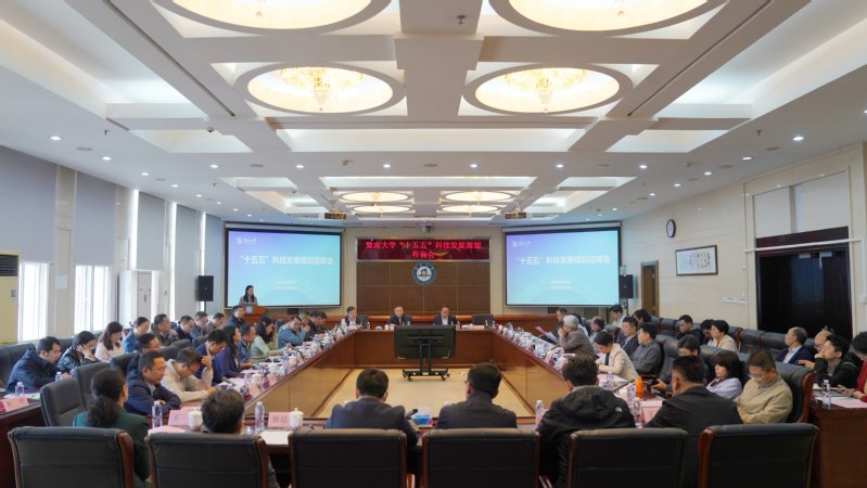 公开信息按发布时间滚动